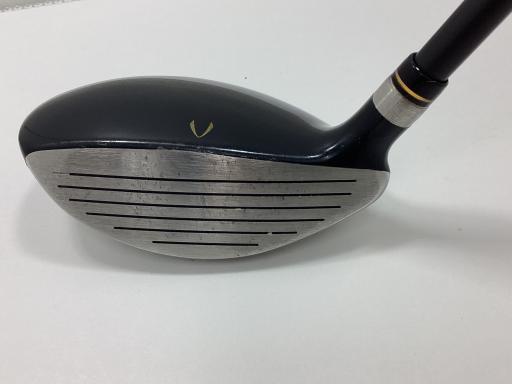 �j�Q�j�@���������O�X���[�e�B���e�B�@�t�T