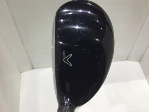 �w�@�c�q�r�@���[�e�B���e�B�@�R�g�i�Q�P°�j