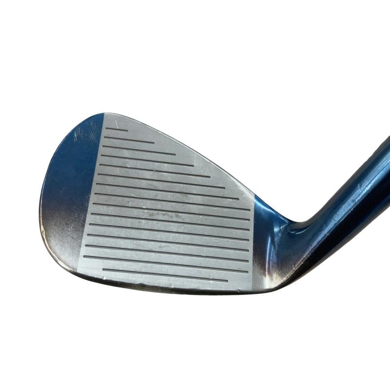 �l�����������@�s�Q�O�i�u���[�j�@�T�Q°�^�O�X°