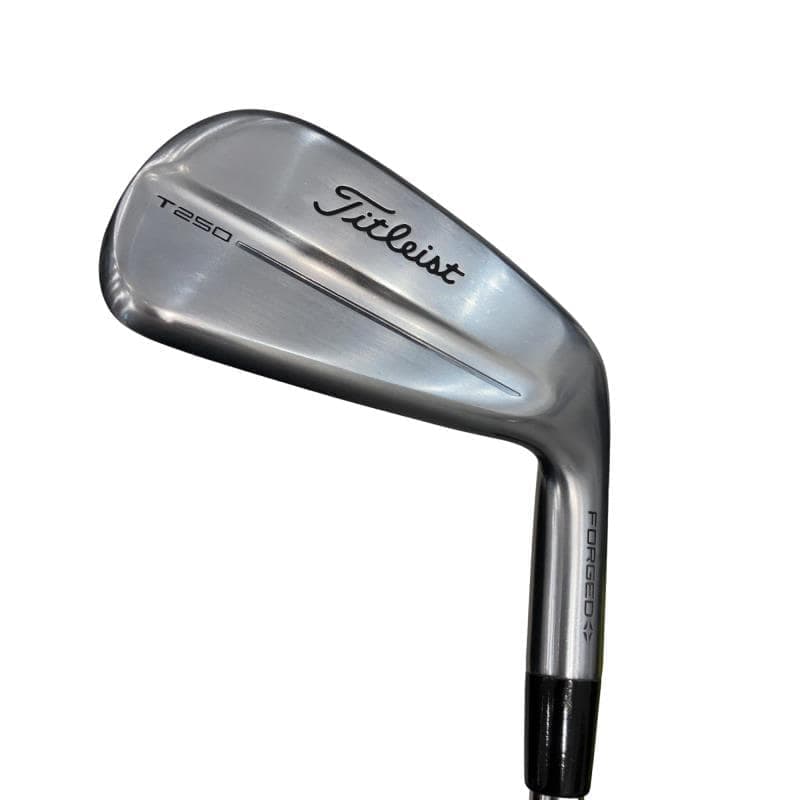 �s���������������@�s�Q�T�O�i�Q�O�Q�T�j�@�@�U�r�i���{���F�T�{�Z�b�g�j