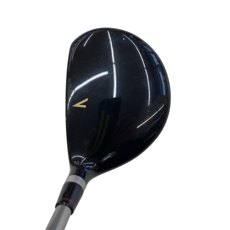 �`�s�g�o�n�q�s�@���{�@�P�W°