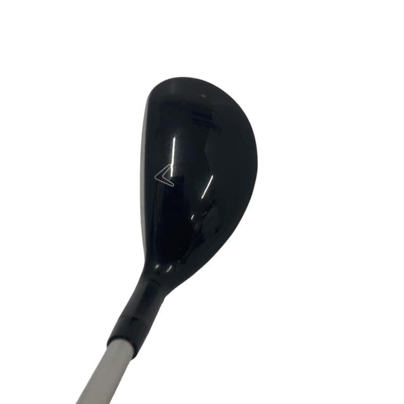 �w�Q�@�g�n�s�@�t�T�@���f�B�[�X