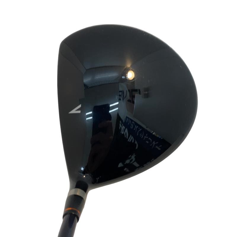 �`�s�g�o�n�q�s�@���{�i�Q�O�O�X�j�@�@�X°