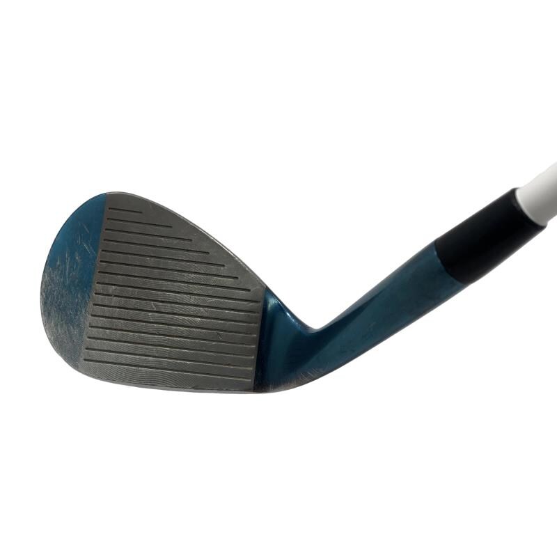 �l�����������@�o�����@�r�P�W�i�u���[�j�@�T�W°�^�P�Q°