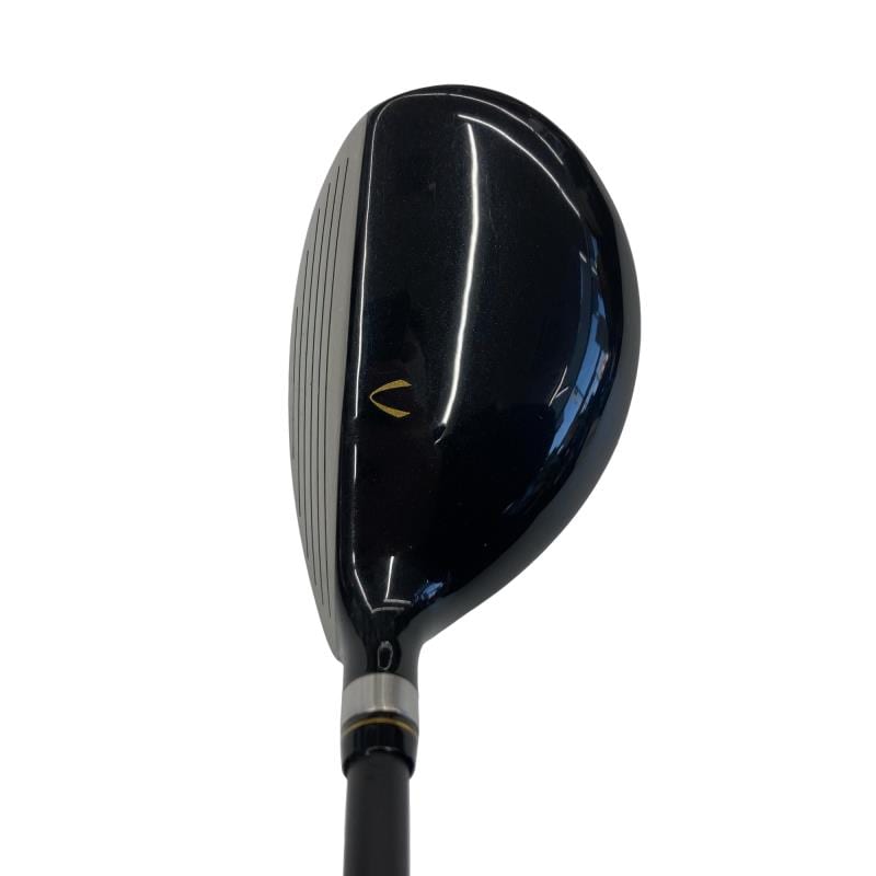 �j�Q�j�@���������O�X���[�e�B���e�B�@�t�T