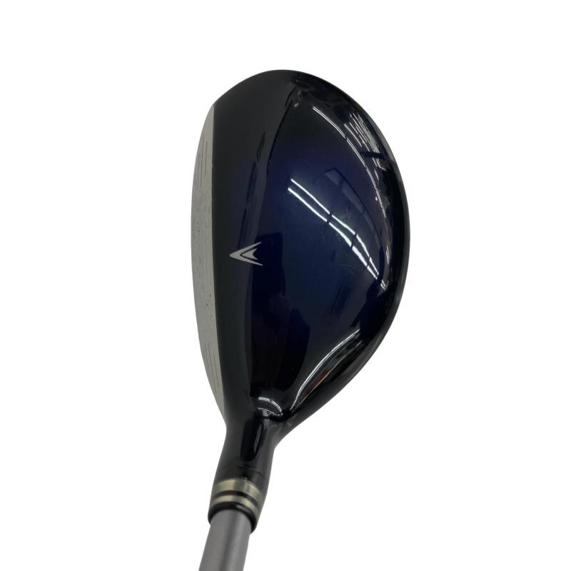 �w�w�h�n�i�Q�O�P�Q�j�@�t�U�@�i�u���[�j�@���f�B�[�X