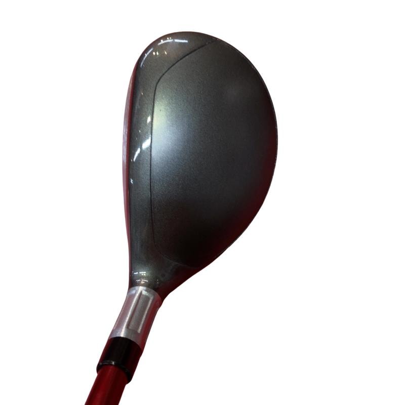 �r�s�d�`�k�s�g�@�t�T�@���f�B�[�X