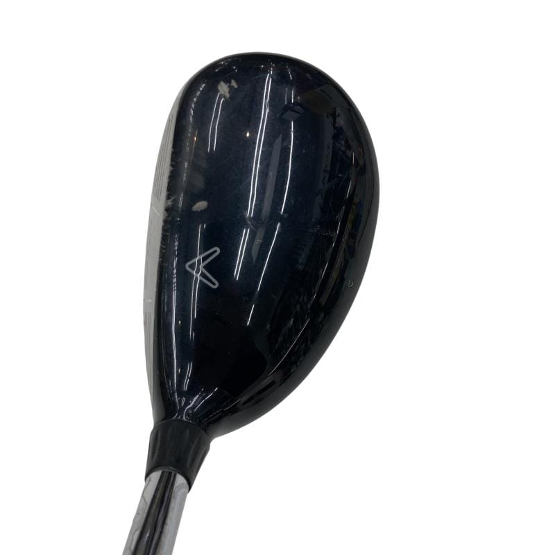 �w�@�c�q�r�@���[�e�B���e�B�@�R�g�i�Q�P°�j