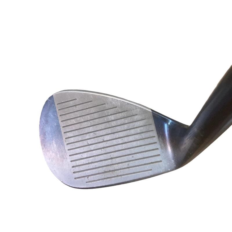 �l�����������@�s�Q�O�i�u���[�j�@�T�W°�^�P�Q°