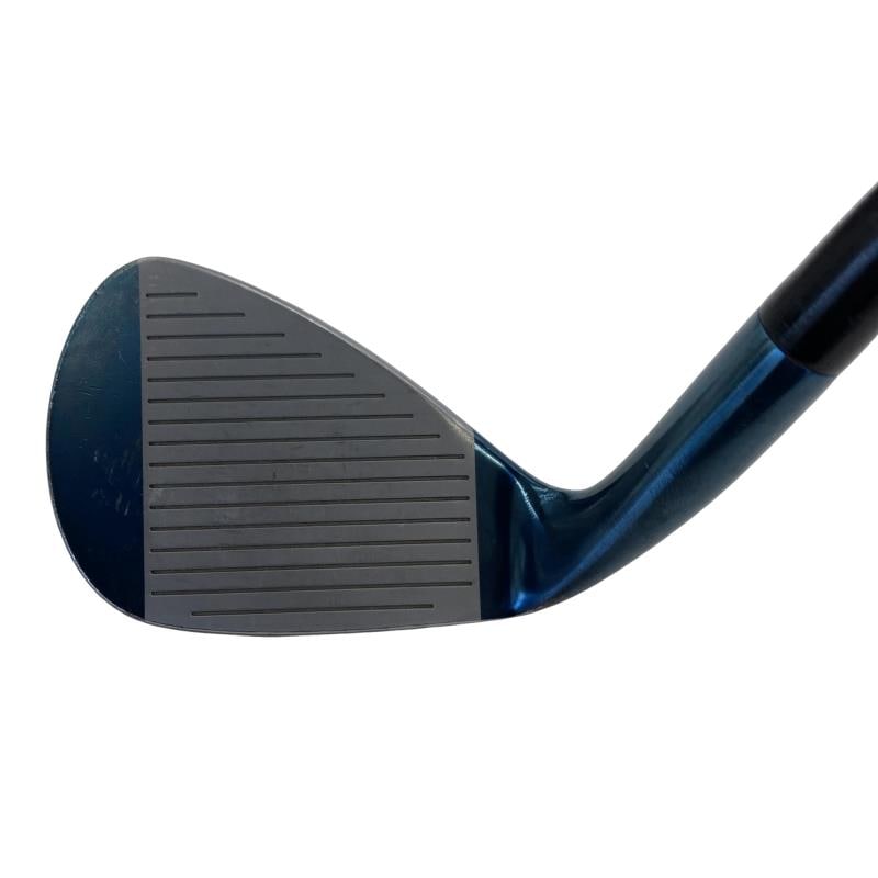 �l�����������@�d���Q�P�i�u���[�j�@�S�W°�^�O�W°