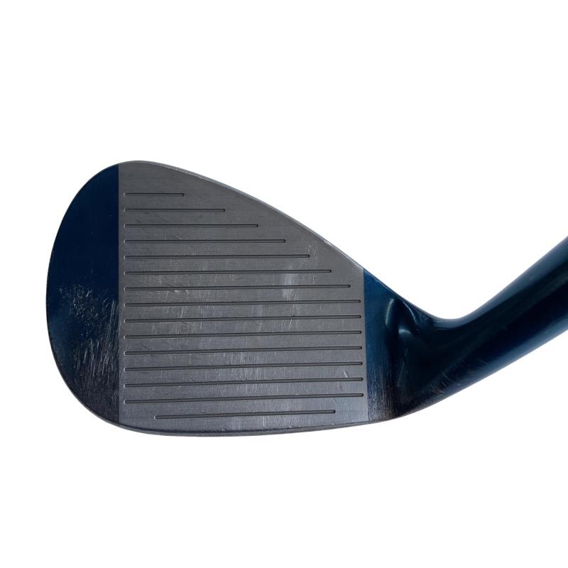 �l�����������@�s�Q�O�i�u���[�j�@�T�S°�^�O�W°