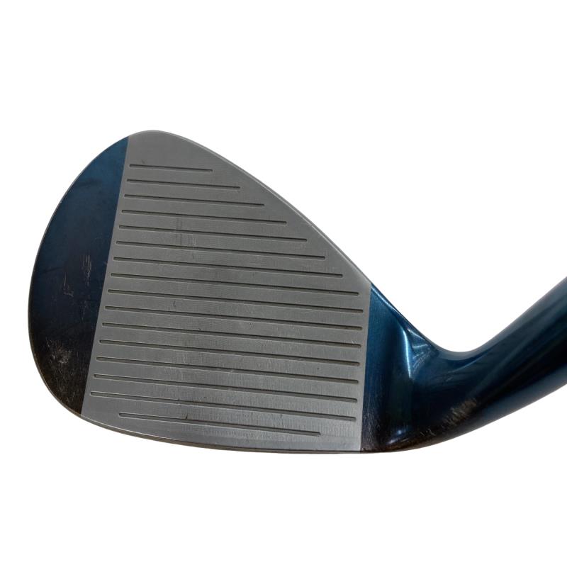 �l�����������@�d���Q�P�i�u���[�j�@�T�W°�^�O�W°