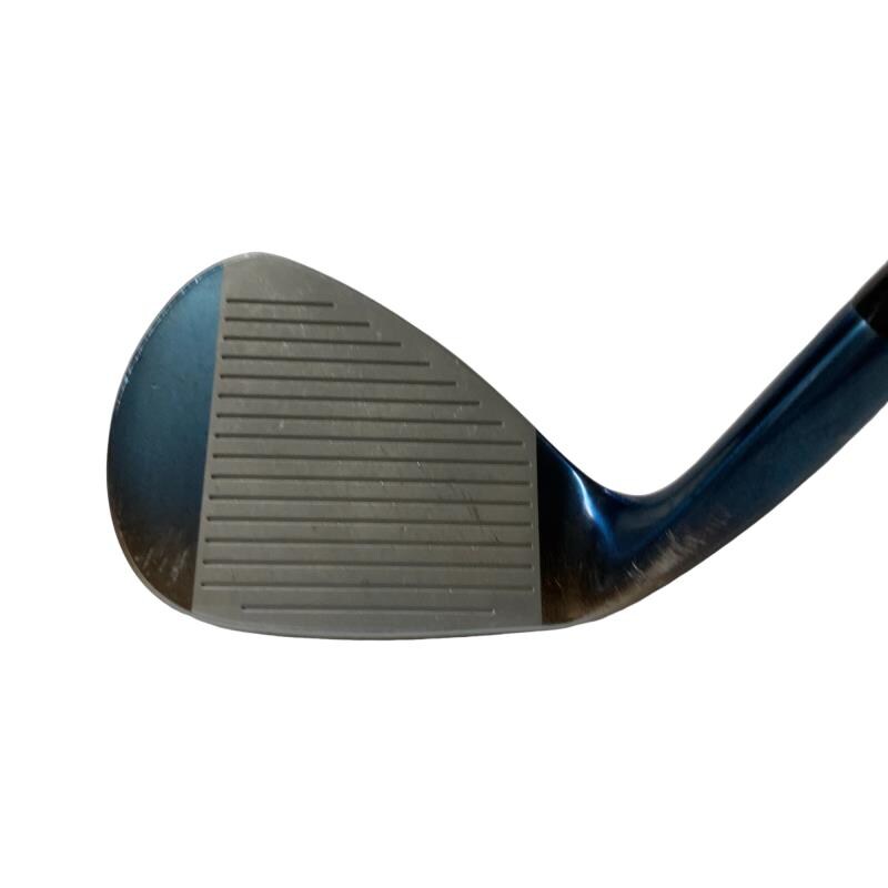 �l�����������@�d���Q�P�i�u���[�j�@�T�U°�^�P�O°