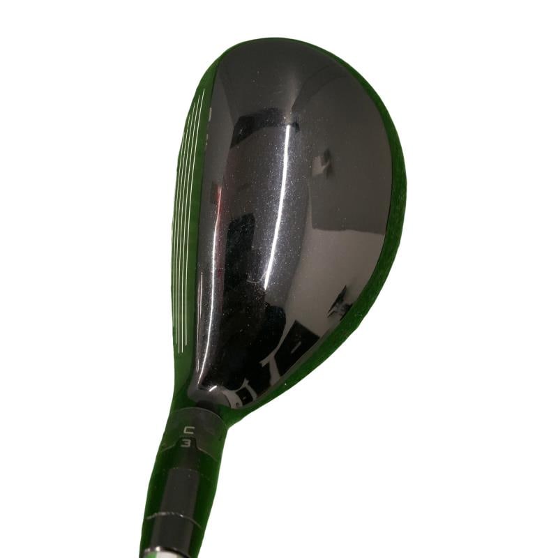 �X�P�T�@�g�@�t�S