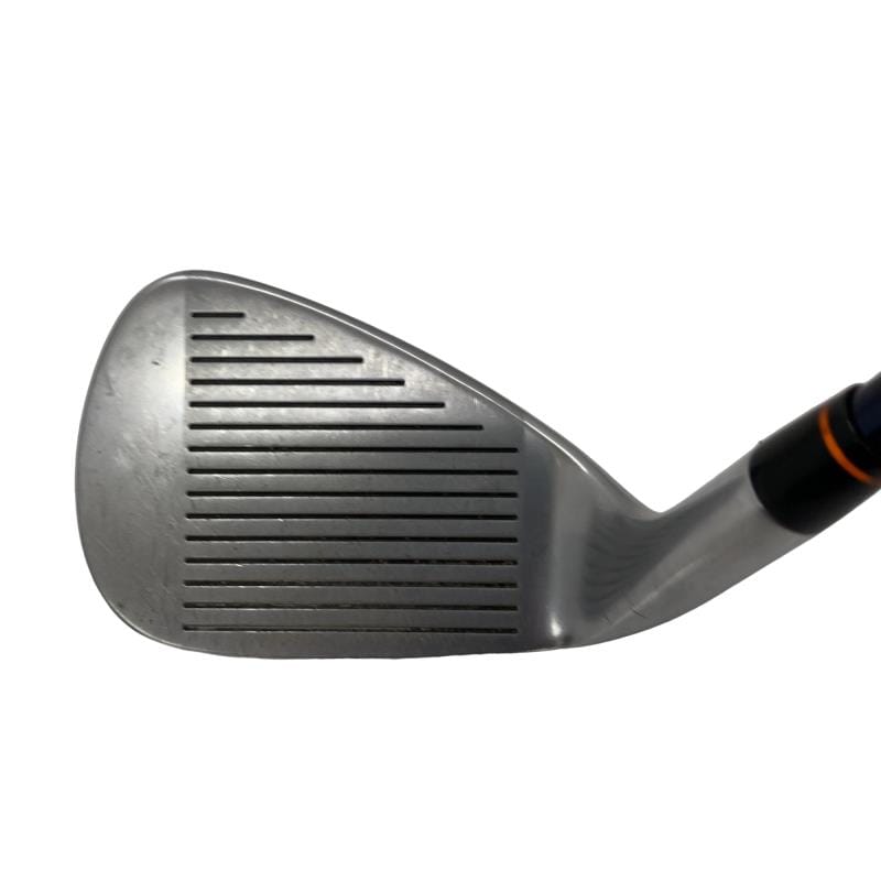 �`�s�g�o�n�q�s�@���{�i�Q�O�O�X�j�@�r�v