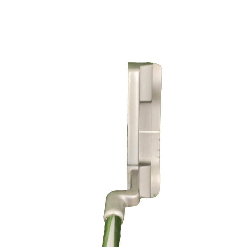 �d�����V�X�@�s�l�|�P�P�O�@�V���o�[�@�R�T�C���`