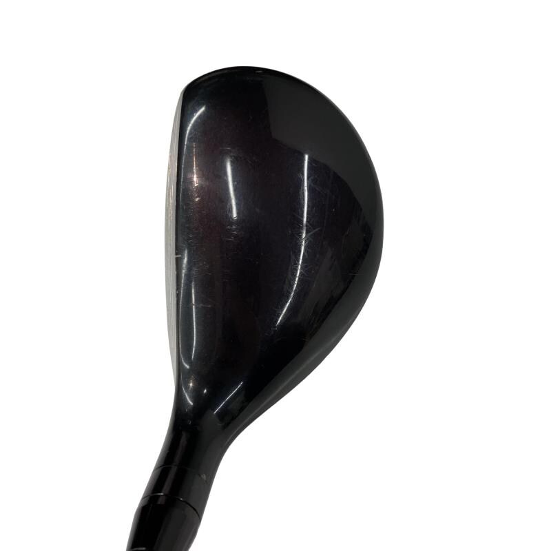 �������������@�q�l�w�@�t�T�{�@���f�B�[�X