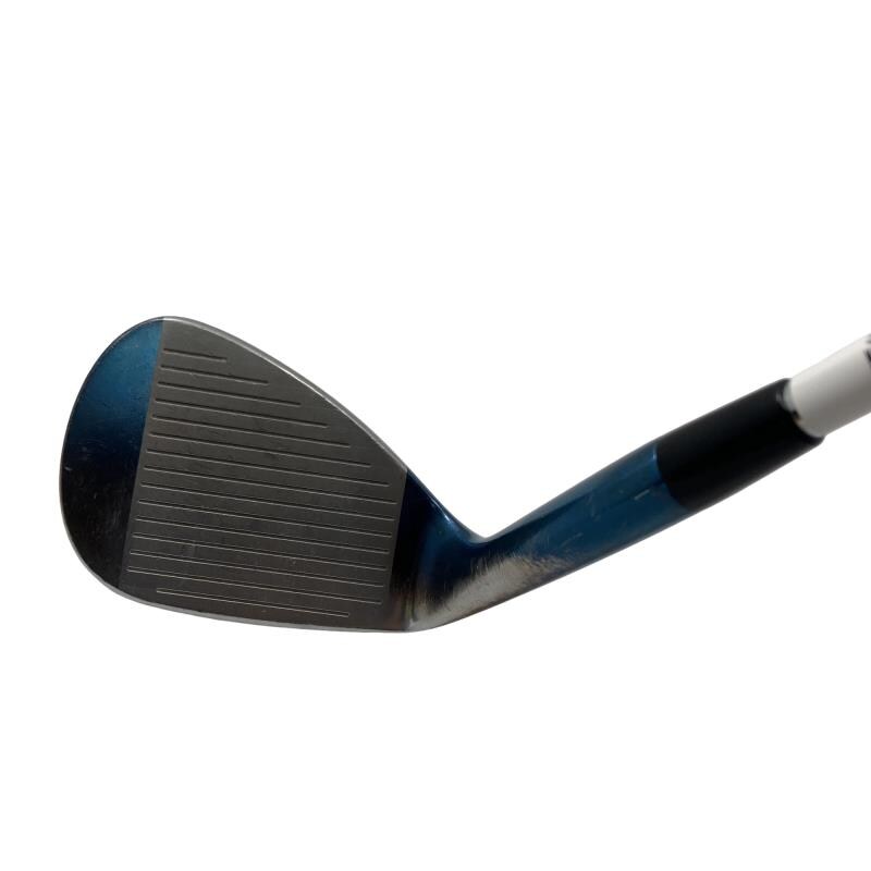 �l�����������@�s�Q�O�i�u���[�j�@�T�W°�^�P�Q°