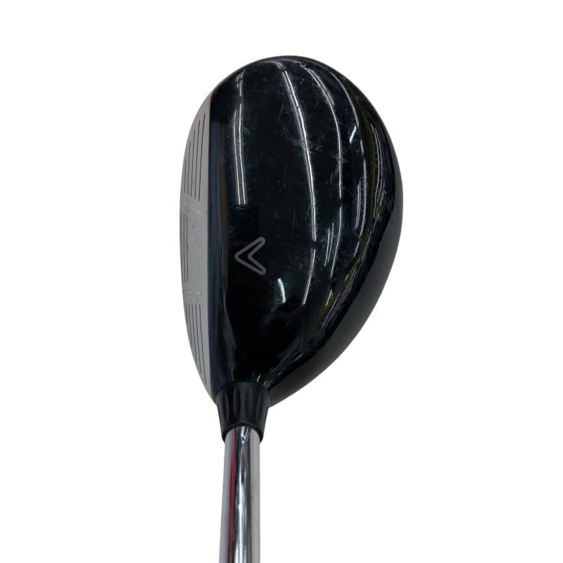 �w�@���[�e�B���e�B�@�R�g�@�t�r�`