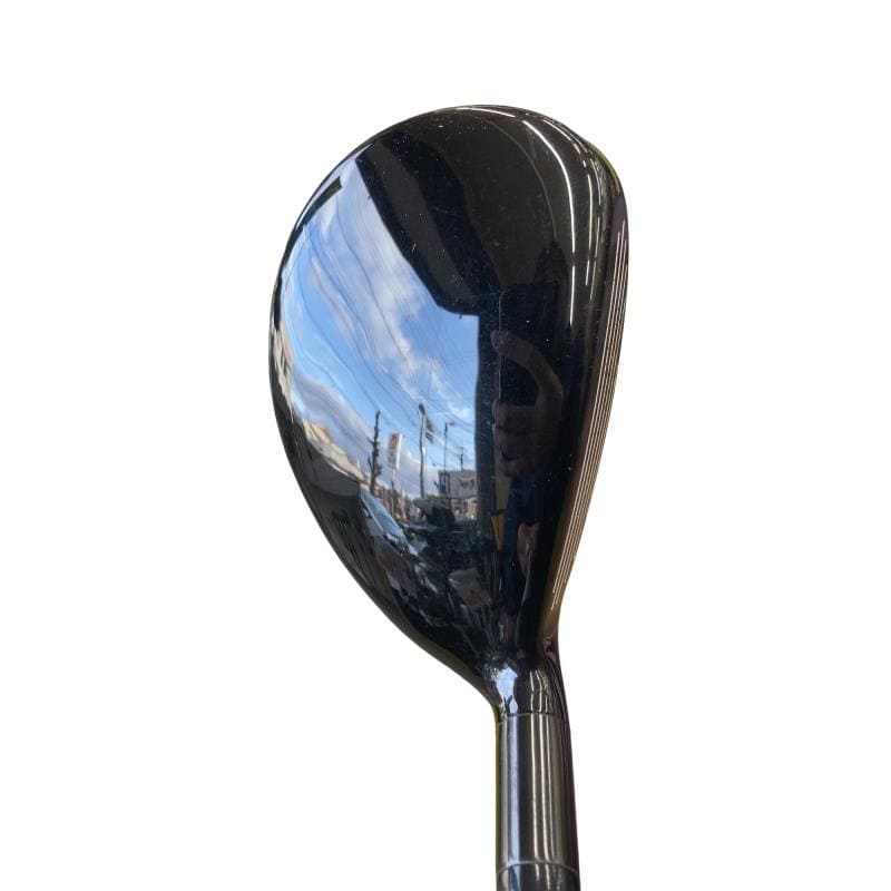 �w�@�g�n�s�@�t�S�@���t�e�B