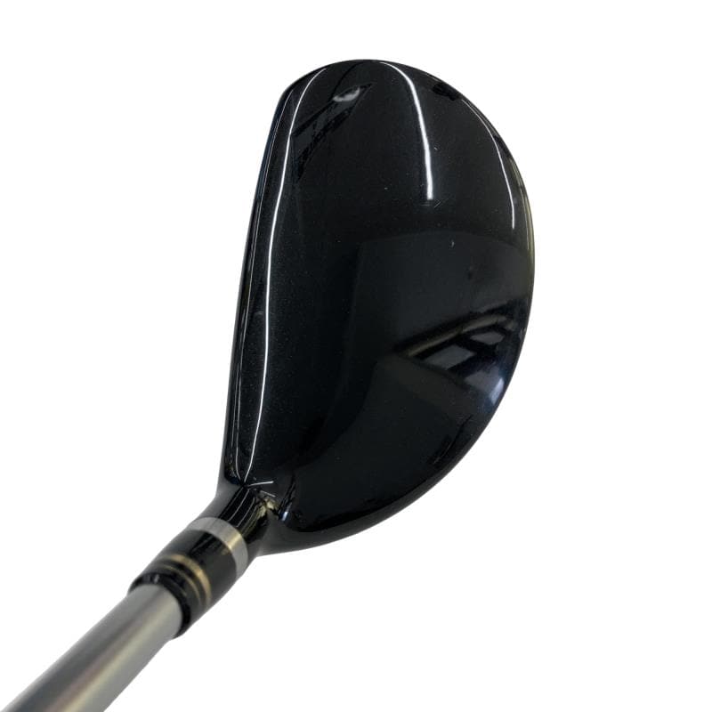 �q���������@���[�e�B���e�B�@�V���o�[�@�S�t�@���f�B�[�X