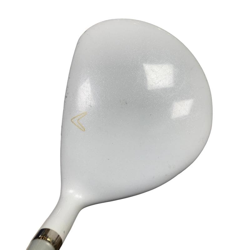 �����������i�Q�O�P�T�j�@�S�v�@���f�B�[�X