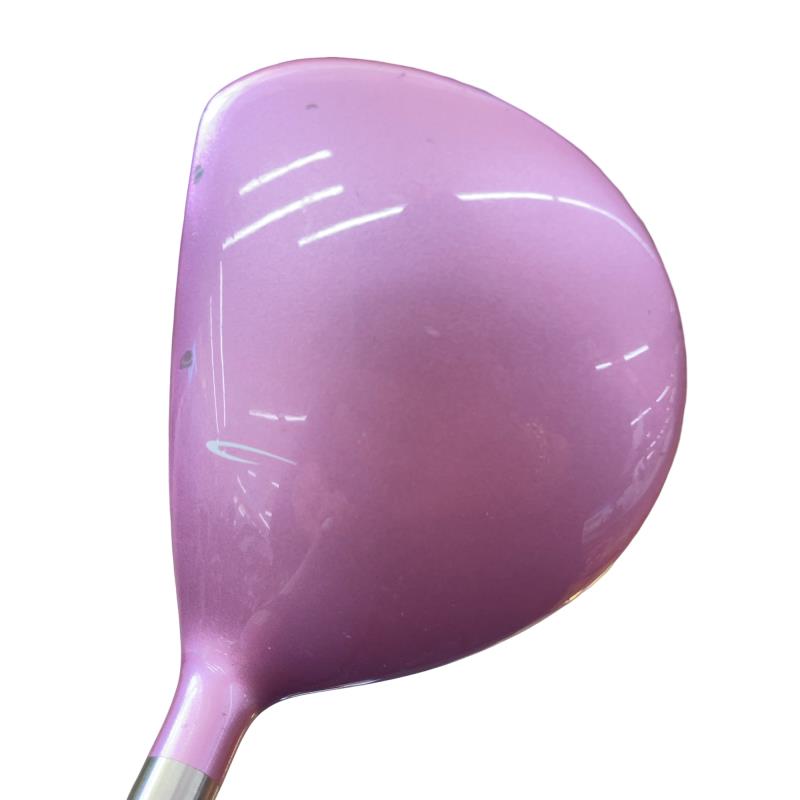 ���������i�Q�O�P�Q�j�@�V�v�@���f�B�[�X