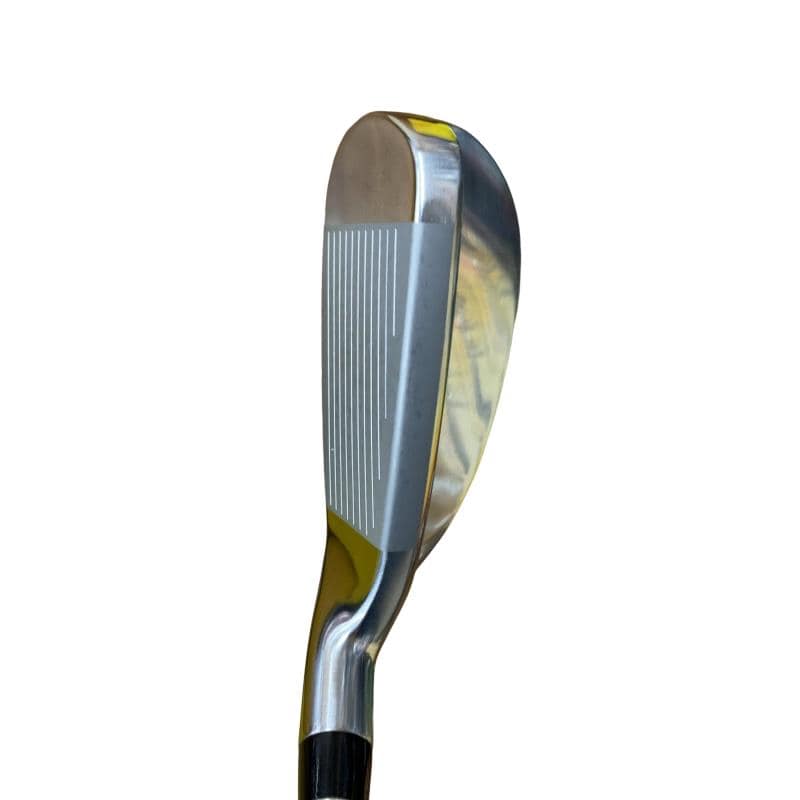 �������@���{�i�Q�O�P�X�j�@�t�S