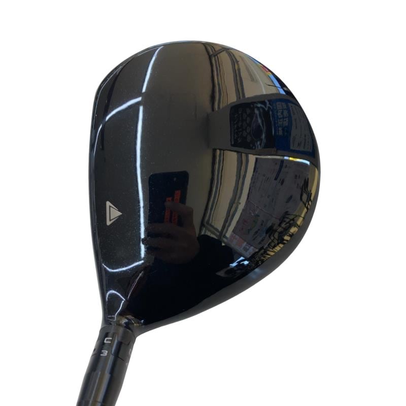 �s���������������@�u�f�R�i�Q�O�P�W�j�@�R�v