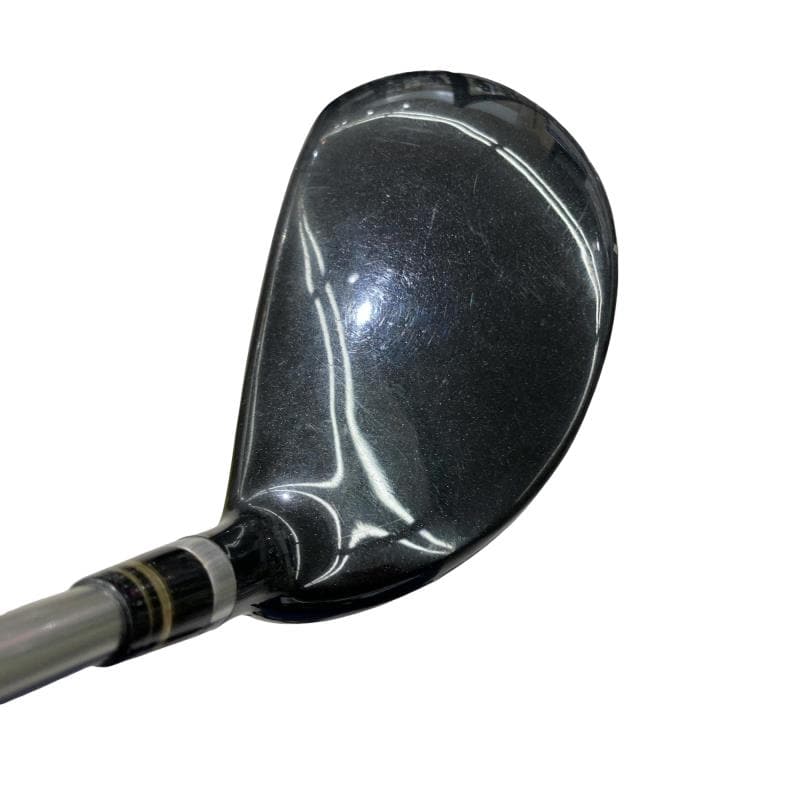 �q���������@���[�e�B���e�B�@�V���o�[�@�S�t