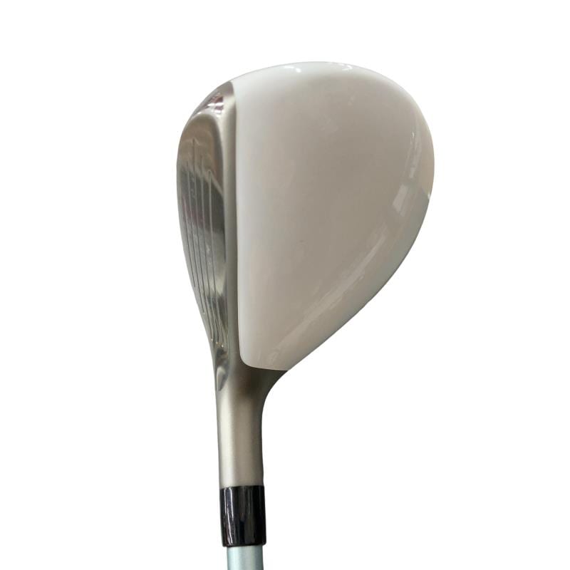 �a�q�|�w�@�t�T�@���f�B�[�X