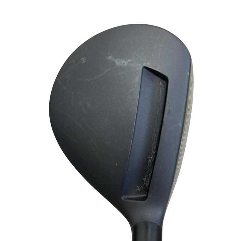 �`���������@�w�s�c�@�����@�P�W°�@���t�e�B