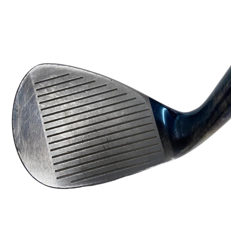 �l�����������@�d���Q�P�i�u���[�j�@�T�W°�^�O�W°