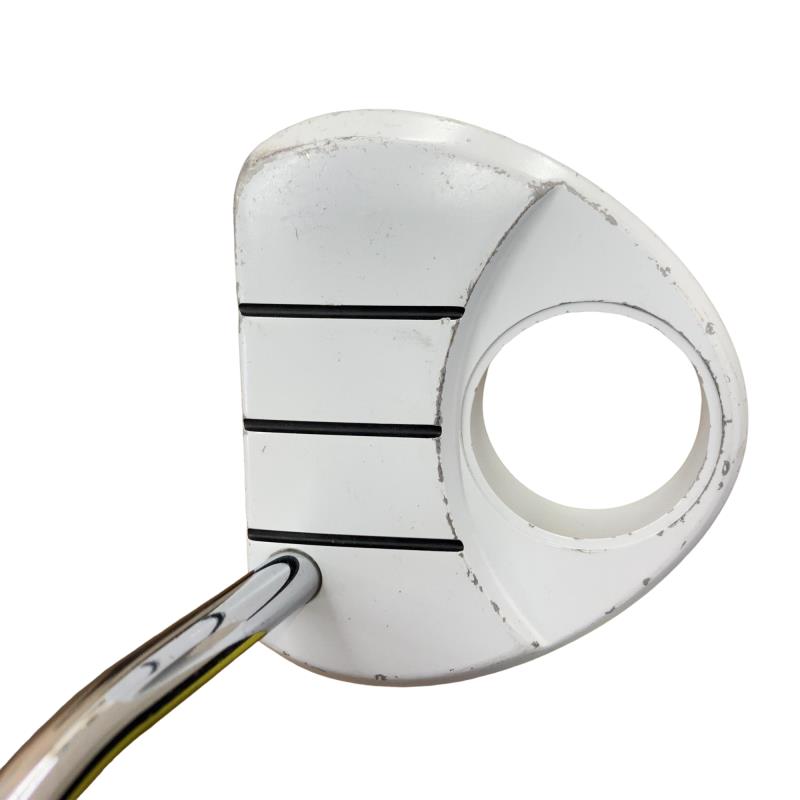 �q���������@�f�g�n�r�s�@���������{�@�b�n�q�y�`�@�R�S�C���`