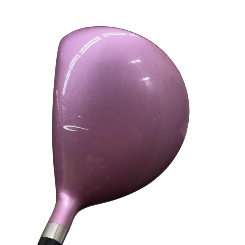 ���������i�Q�O�P�Q�j�@�V�v�@���f�B�[�X