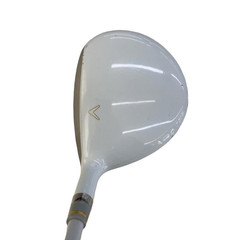 �����������i�Q�O�P�T�j�@�V�v�@���f�B�[�X