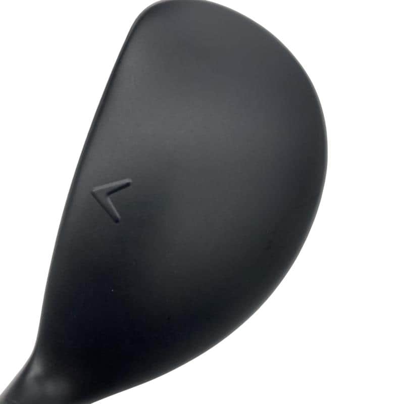 �w�q�@�P�U�@�n�r�@�t�R