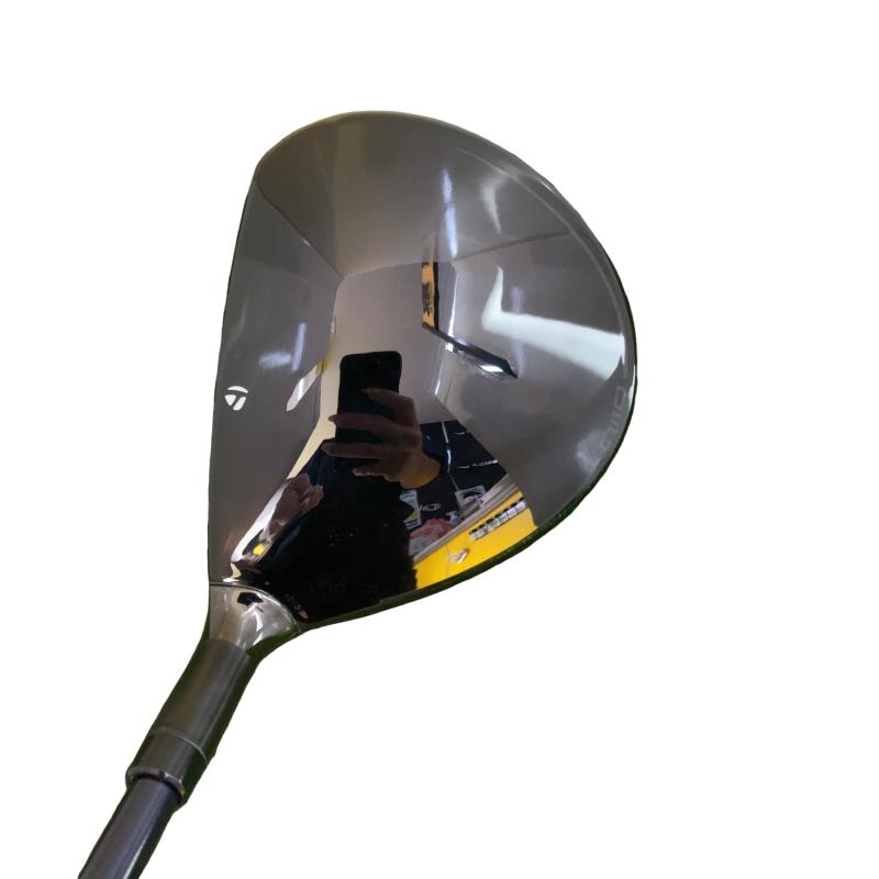 �p���P�O�@�T�v