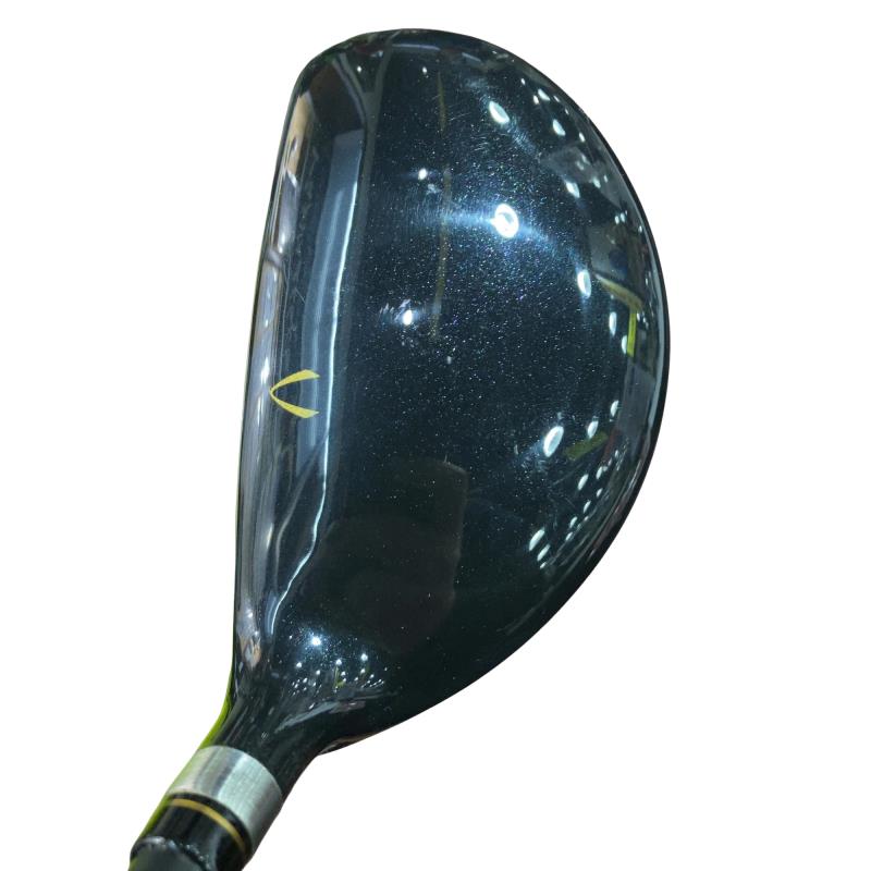 �j�Q�j�@���������O�X���[�e�B���e�B�@�t�T