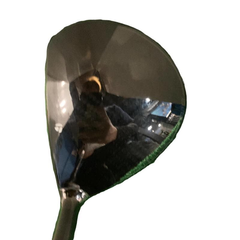 �p���P�O�@�T�v