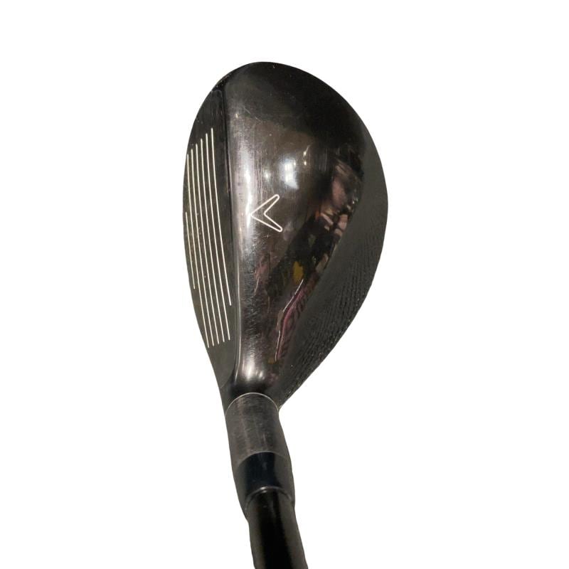 �w�Q�@�g�n�s�@�t�T