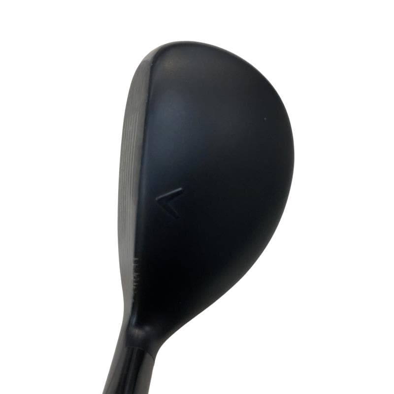 �w�q�@�t�T�@���f�B�[�X