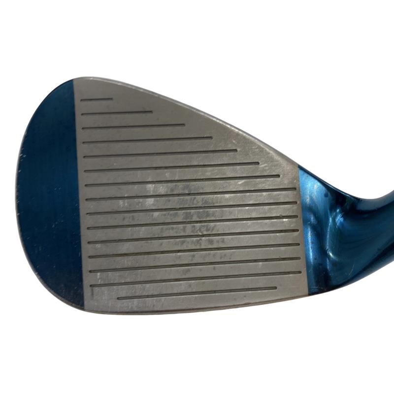 �l�����������@�s�Q�O�i�u���[�j�@�T�Q°�^�O�X°