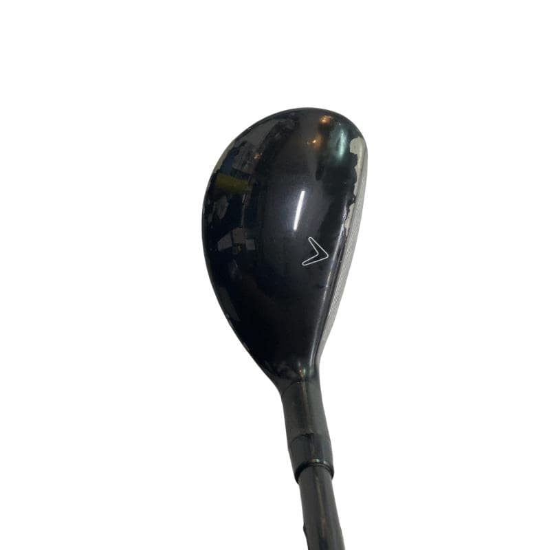 �w�Q�@�g�n�s�@�t�T�@���t�e�B