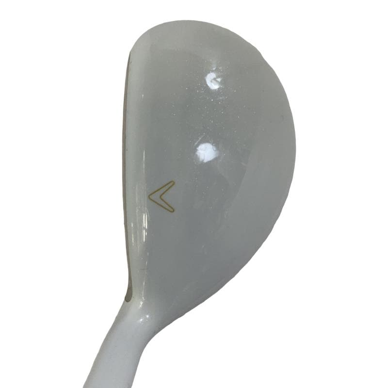 �����������i�Q�O�P�T�j�@�S�g�@���f�B�[�X