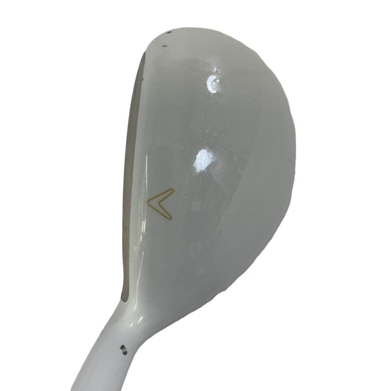 �����������i�Q�O�P�T�j�@�T�g�@���f�B�[�X