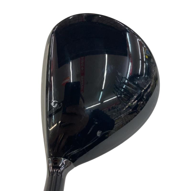 �p���P�O�@�T�v