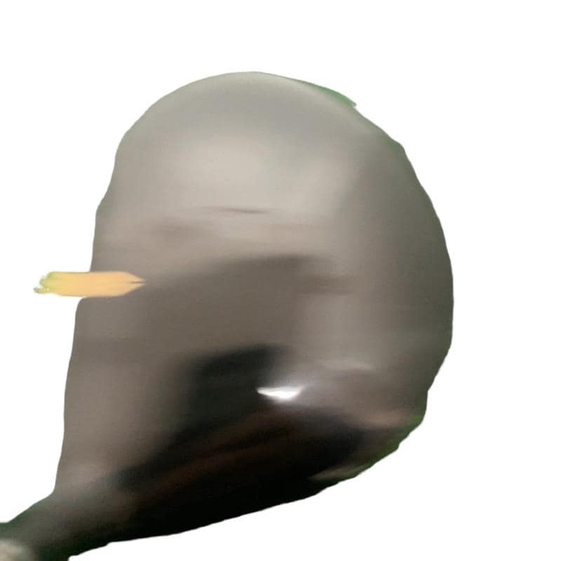 �w�w�h�n�@�o�q�h�l�d�i�Q�O�Q�P�j�@�T�v