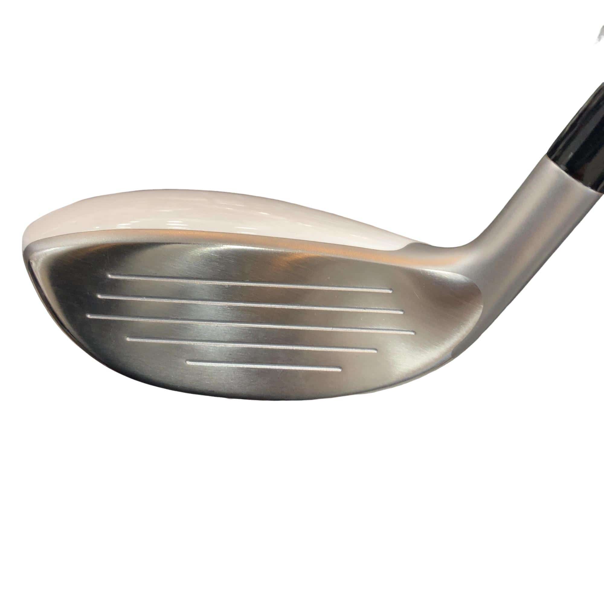 �a�q�|�w�@�t�T�@���f�B�[�X