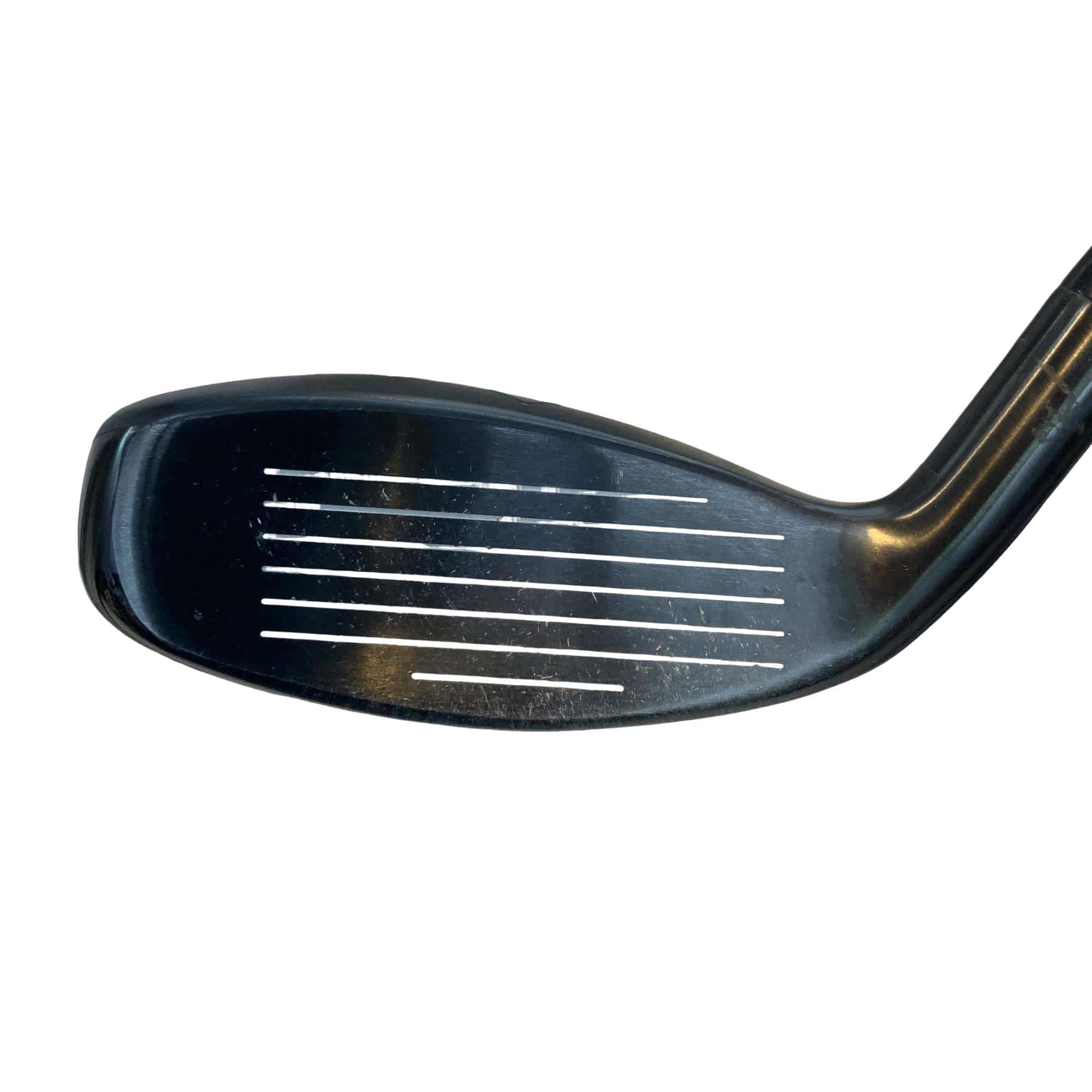 �w�q�@�P�U�@�n�r�@�t�R